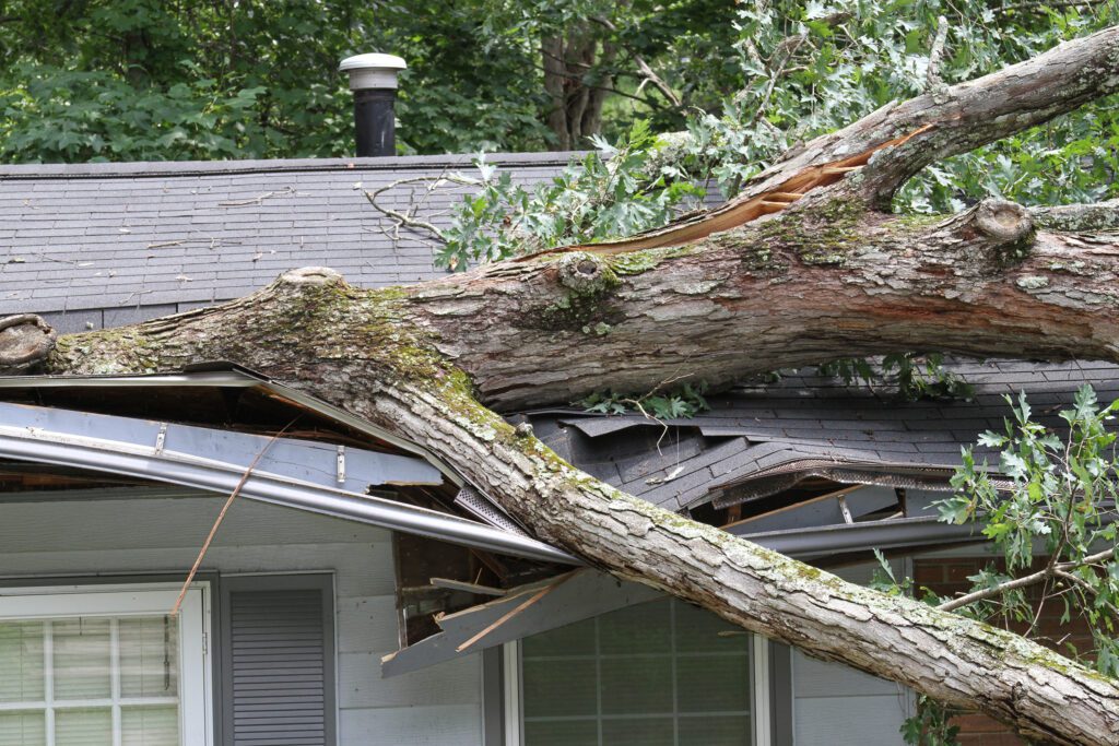 A suburban home in Pennsylvania that has had a a tree fall onto the roof after a heavy rain storm. The home needs emergency roof repair services.