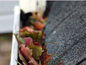 Gutter and downspout installation and maintenance is crucial. Clean your gutters to protect your home.